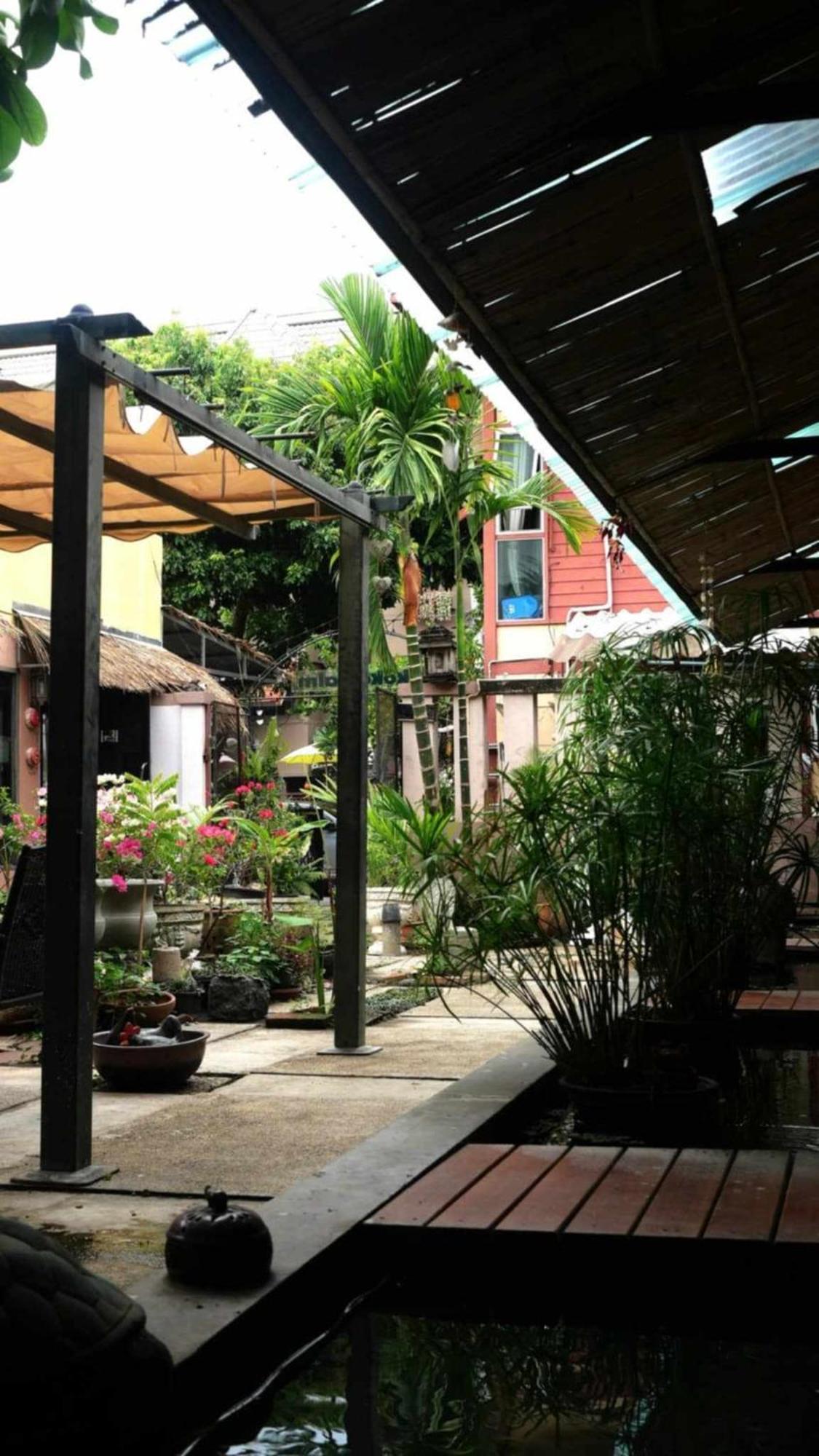 Koko Palm Inn Чиангмай Экстерьер фото